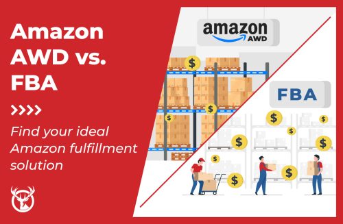 Amazon AWD vs FBA ft