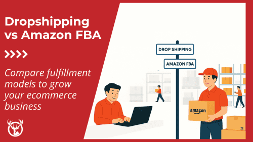 Dropshipping vs Amazon FBA ft