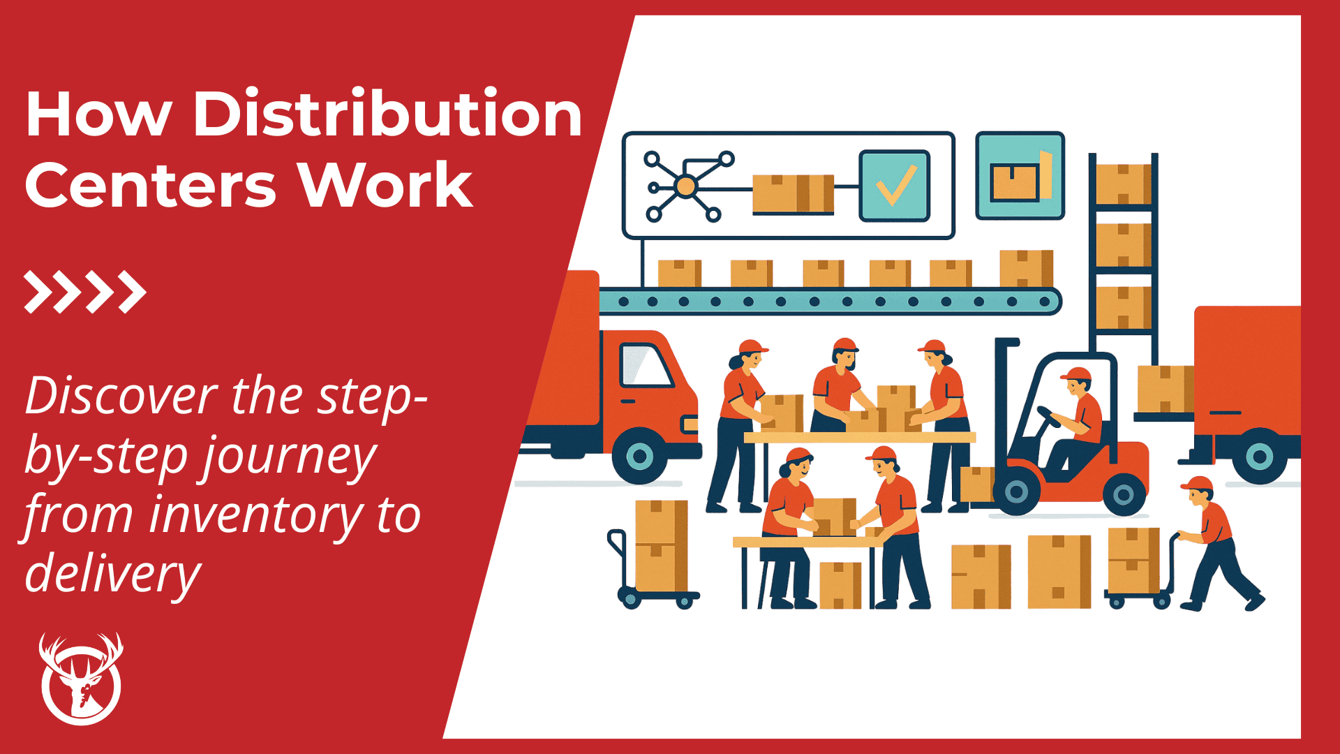 How do distribution centers work? The complete guide