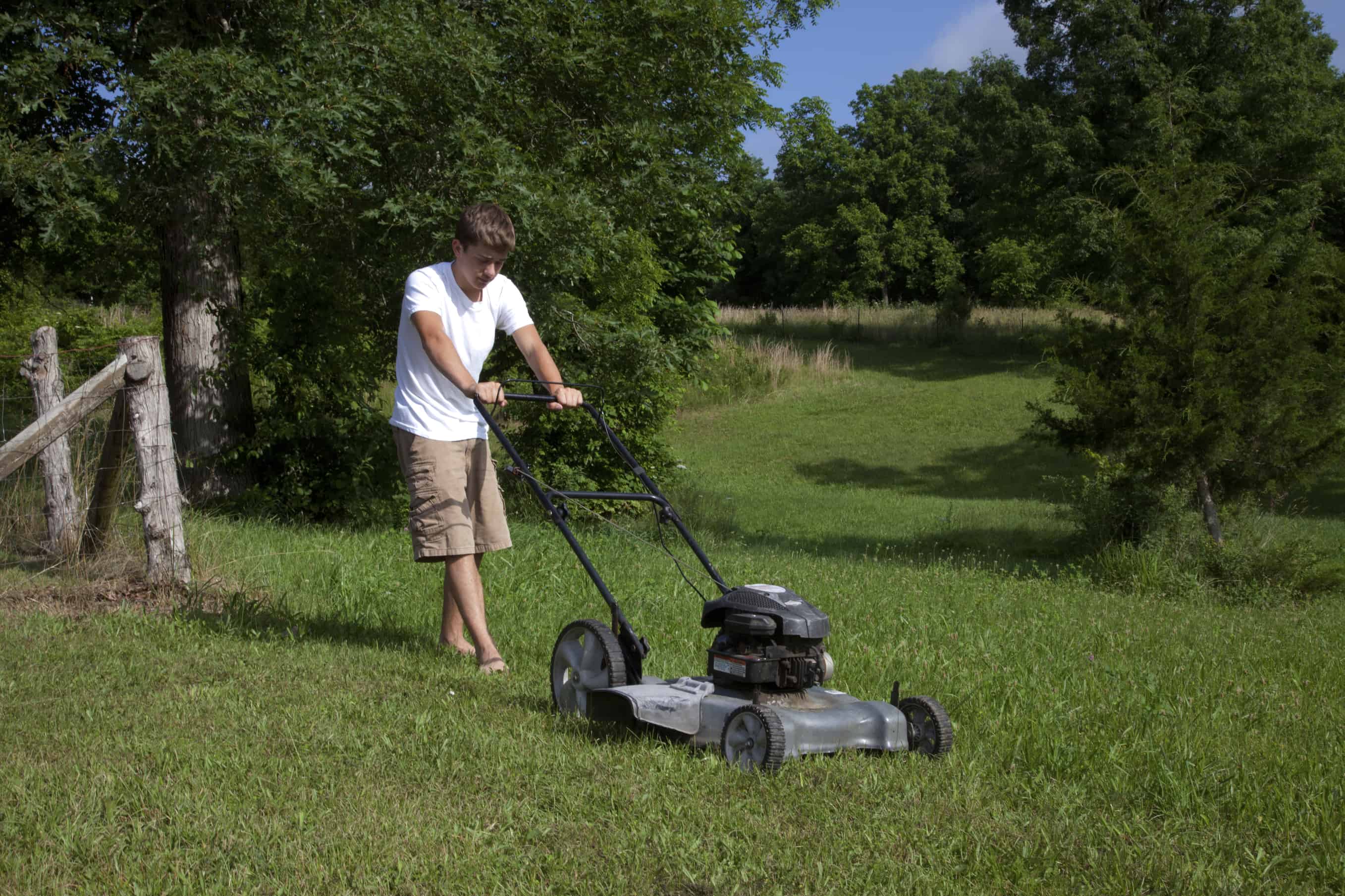 Mowing the grass with a lawnmower