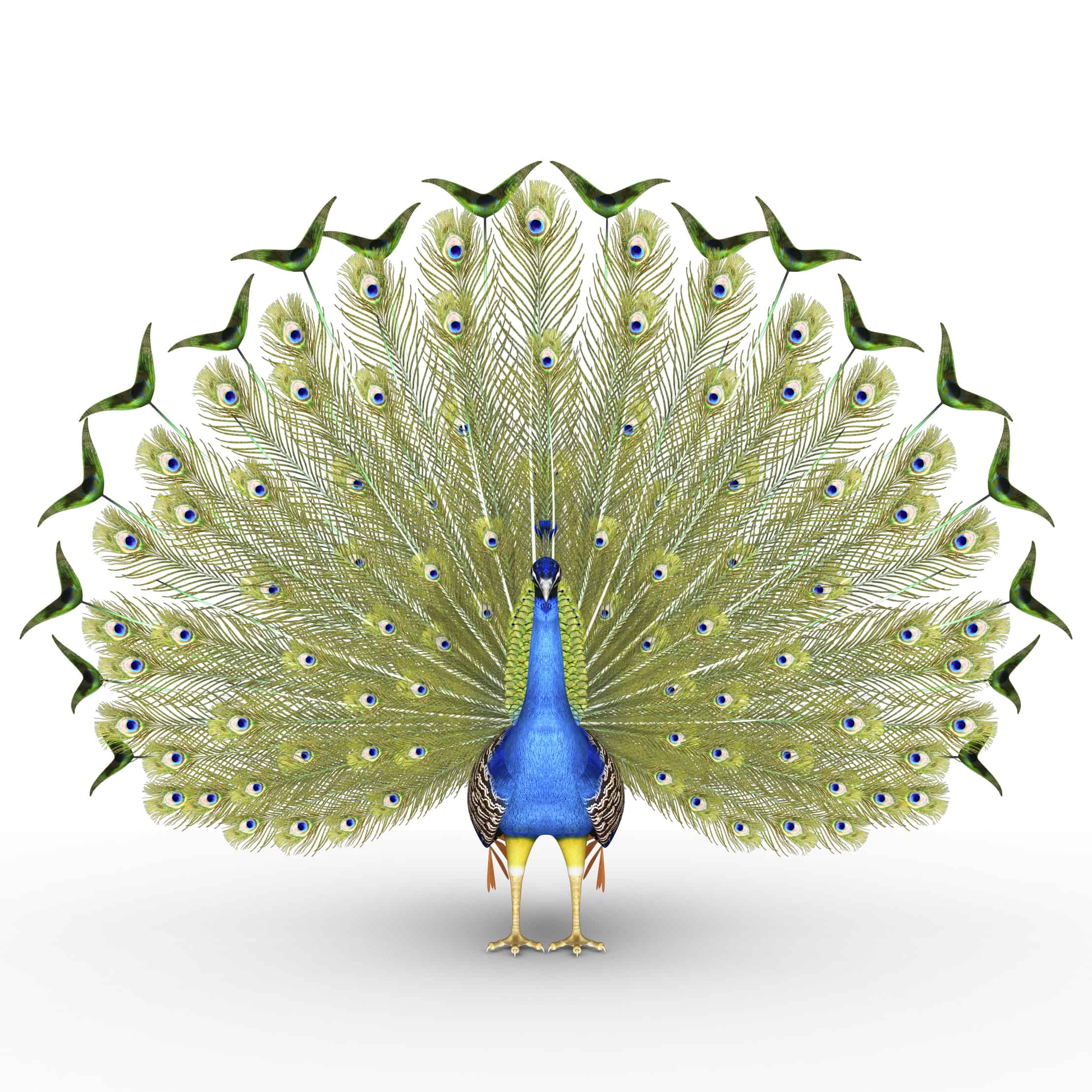 Fulfillment centers can ship delicate products like this peacock sculpture