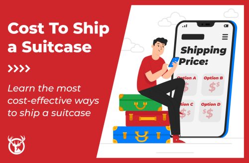 ship a suitcase ft